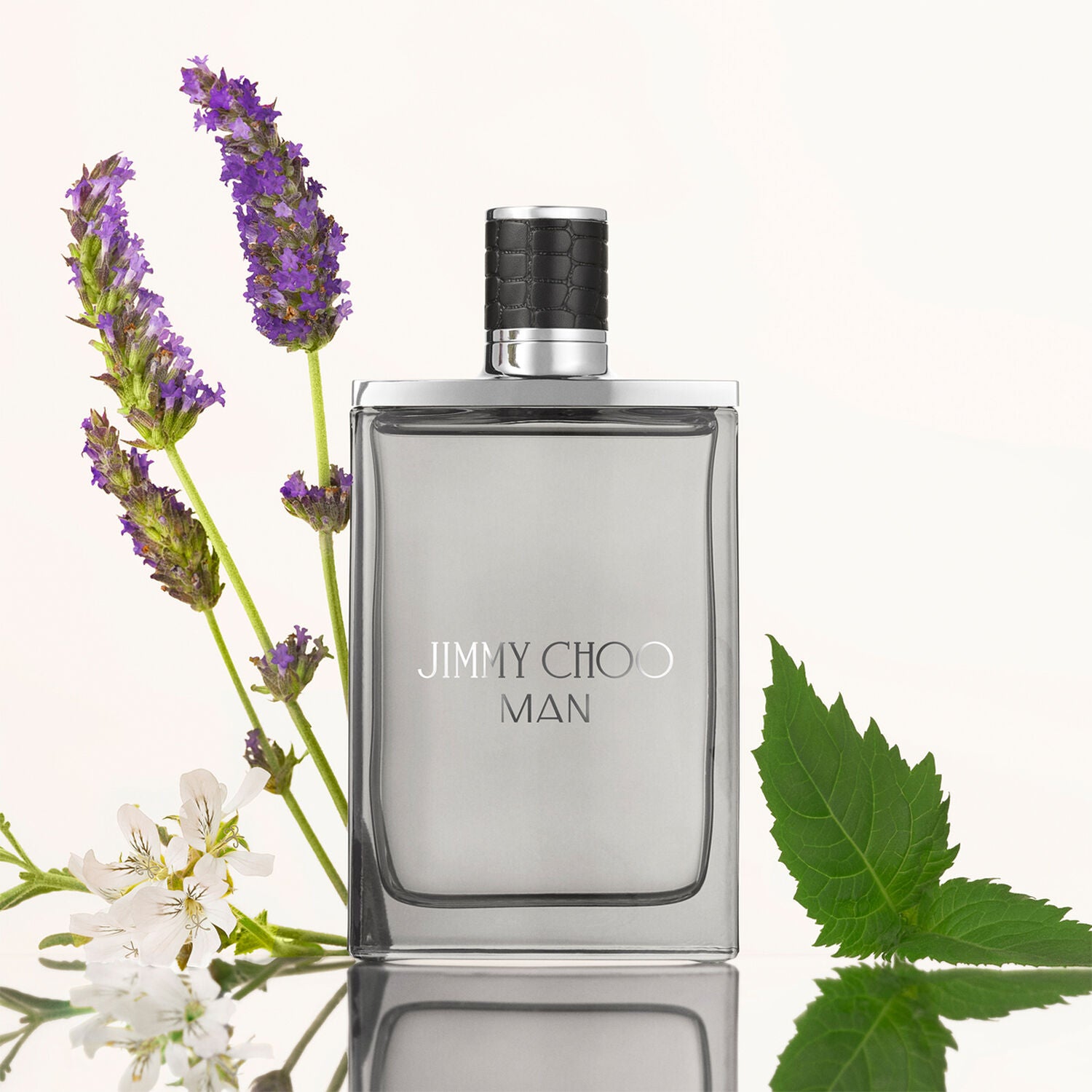 Jimmy Choi Men’s Perfume